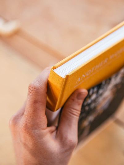 Book -  "Another Work is Possible"